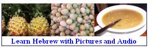 Learn Hebrew with Pictures and Audio